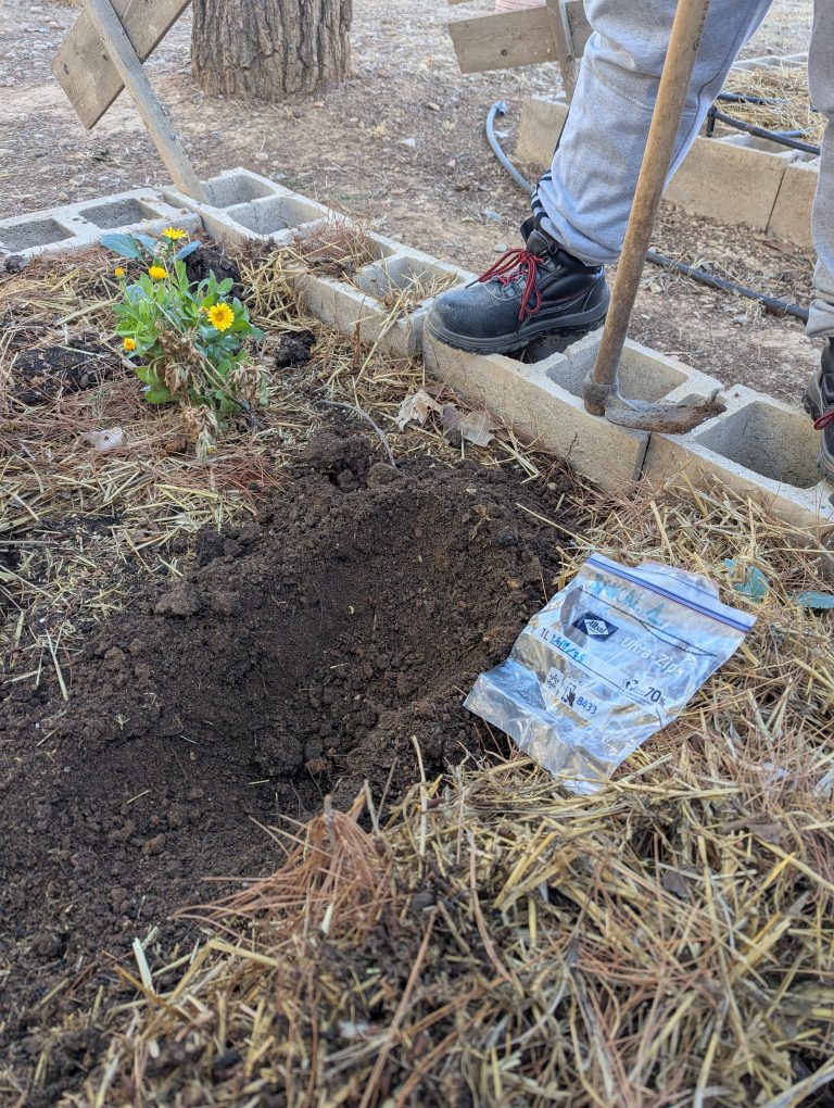 Primera toma de muestras